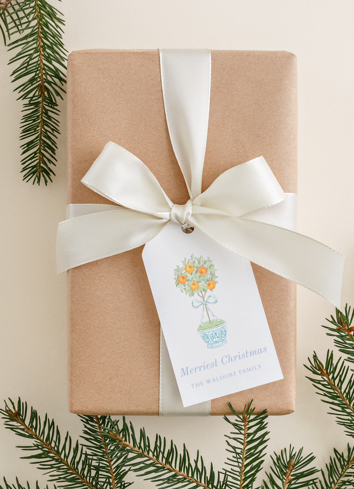 Christmas Topiary Holiday Card, Blue