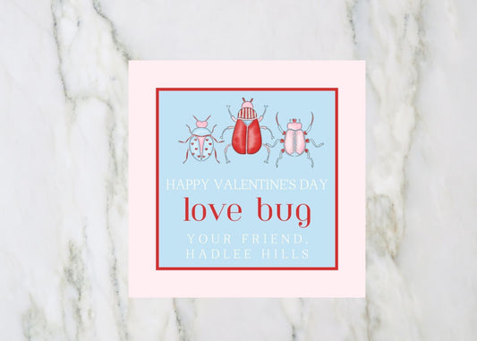 Valentine's Day Card, Love Bug